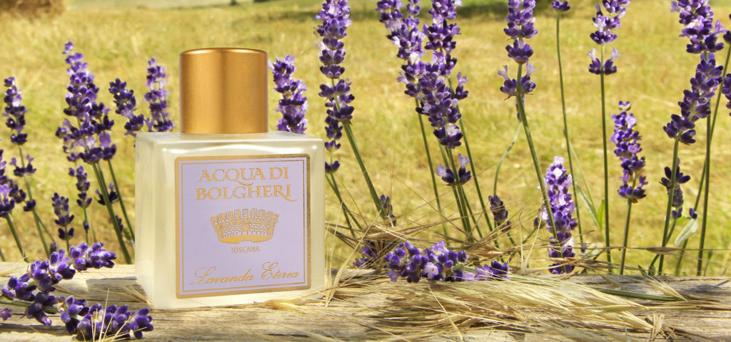 ACQUA DI BOLGHERI Lavanda Eterea Agua de Colonia 100 ml