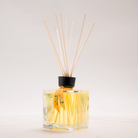 Idea Toscana Agrumi Scented Room Diffuser 250 ml – KOH-I-NOOR Beauty USA