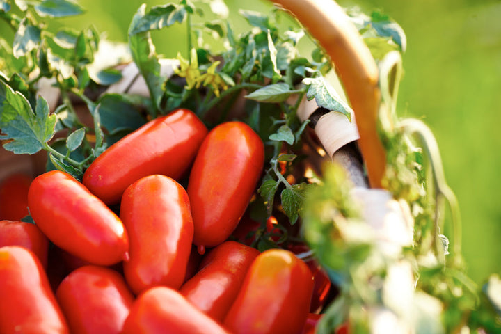 Arrabbiata Sauce with Chili Pepper